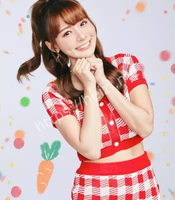 基孔肯雅热疫情